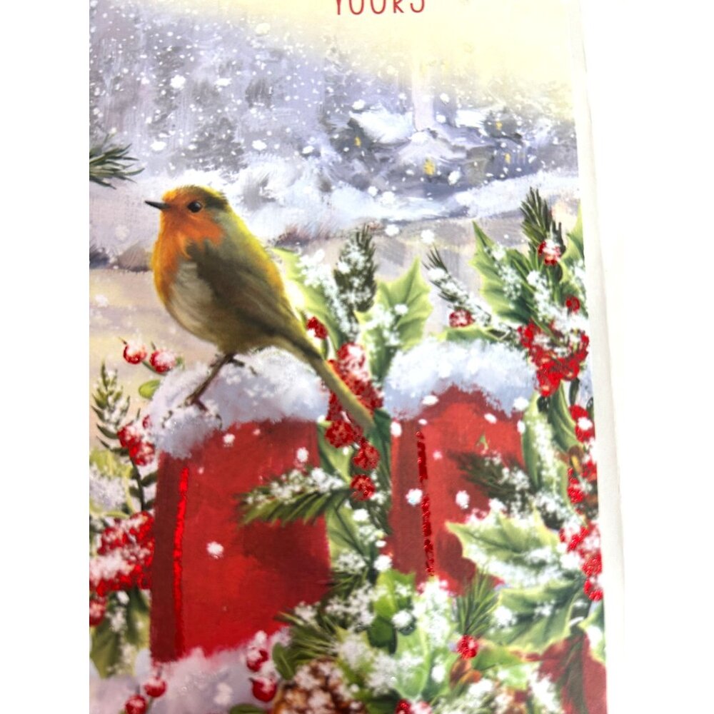 Christmas Cards 2 Boxes 14 cards Matching Envelopes & Seals Holiday Robin Winter